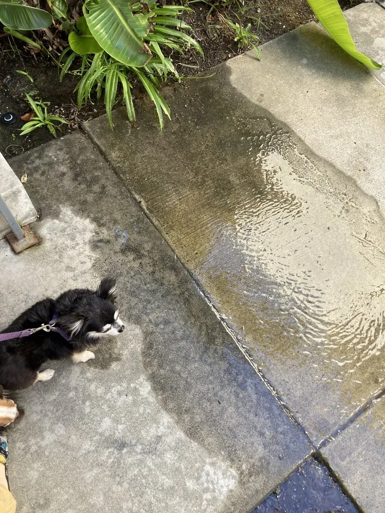 Slide of Coastal Plumbing