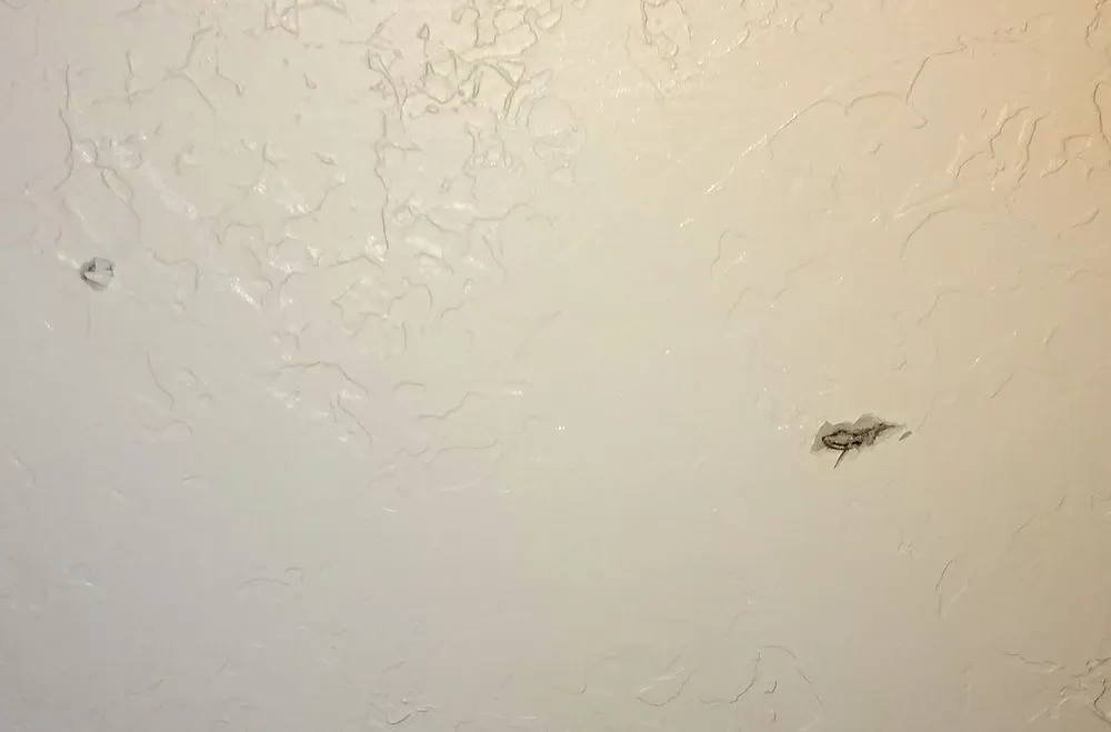 Slide of Coastal Plumbing