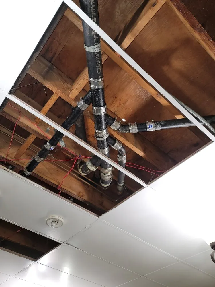 Top-rated drain cleaning for homes in Los Angeles, CA by Cobra Plumbing