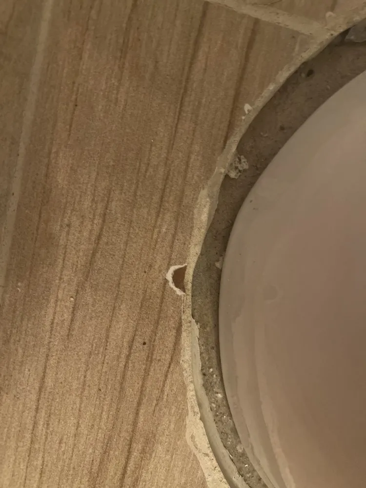 Slide of Cobra Rooter Service