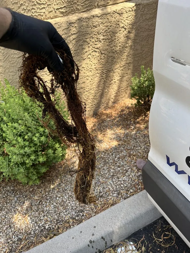 Slide of Code Blue Plumbing Phoenix