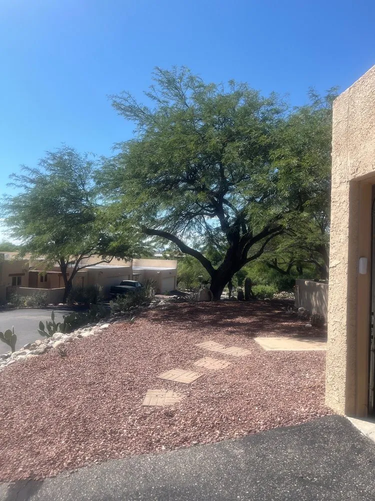 Slide of Code Blue Plumbing