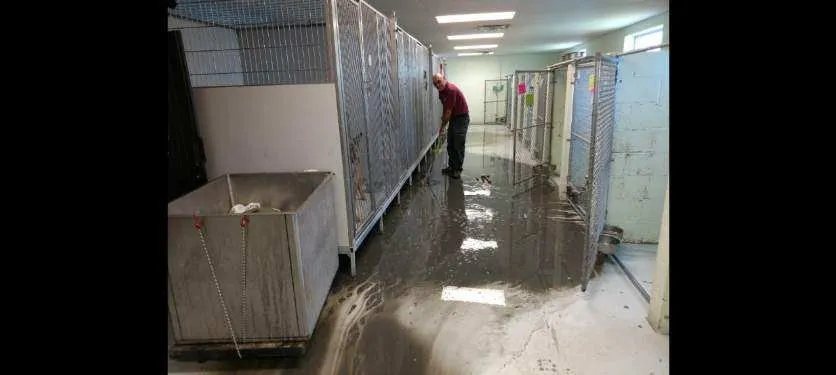 Slide of Coe's Drain Cleaning Specialists