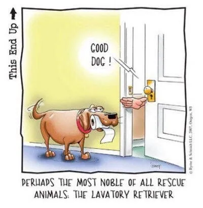 Slide of Cohen Plumbing