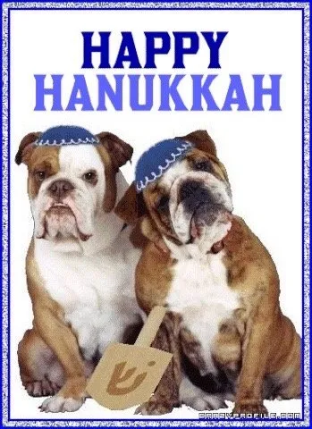 Expert pipe repair for homes in Boca Raton, FL by Cohen Plumbing