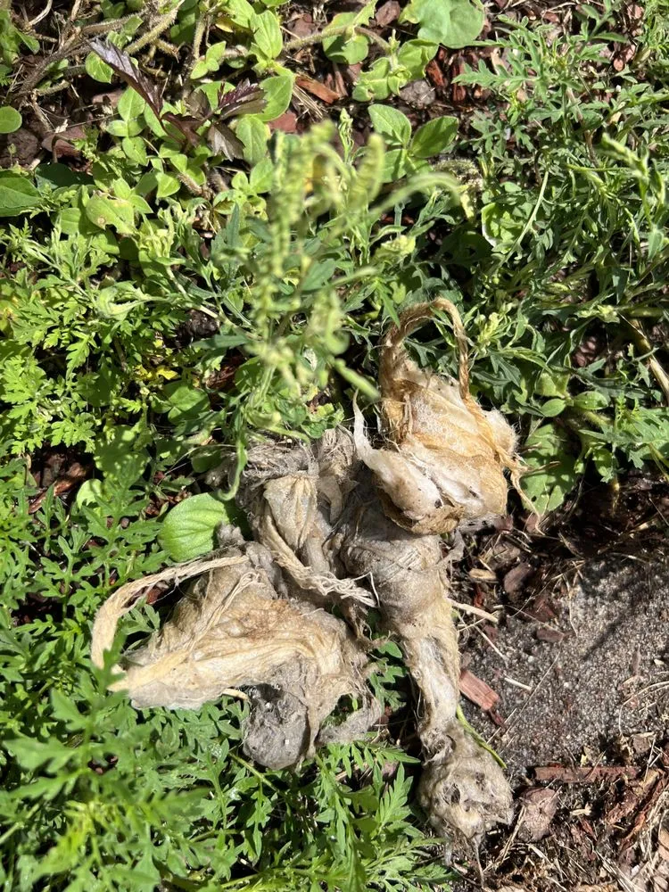 Slide of Coker Plumbing & Septic