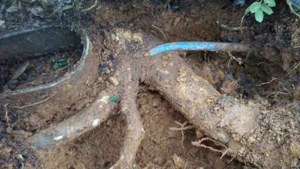 Slide of Coleman Plumbing Services