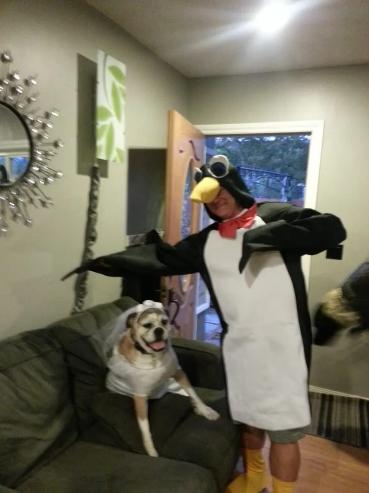 Slide of Collier Plumbing