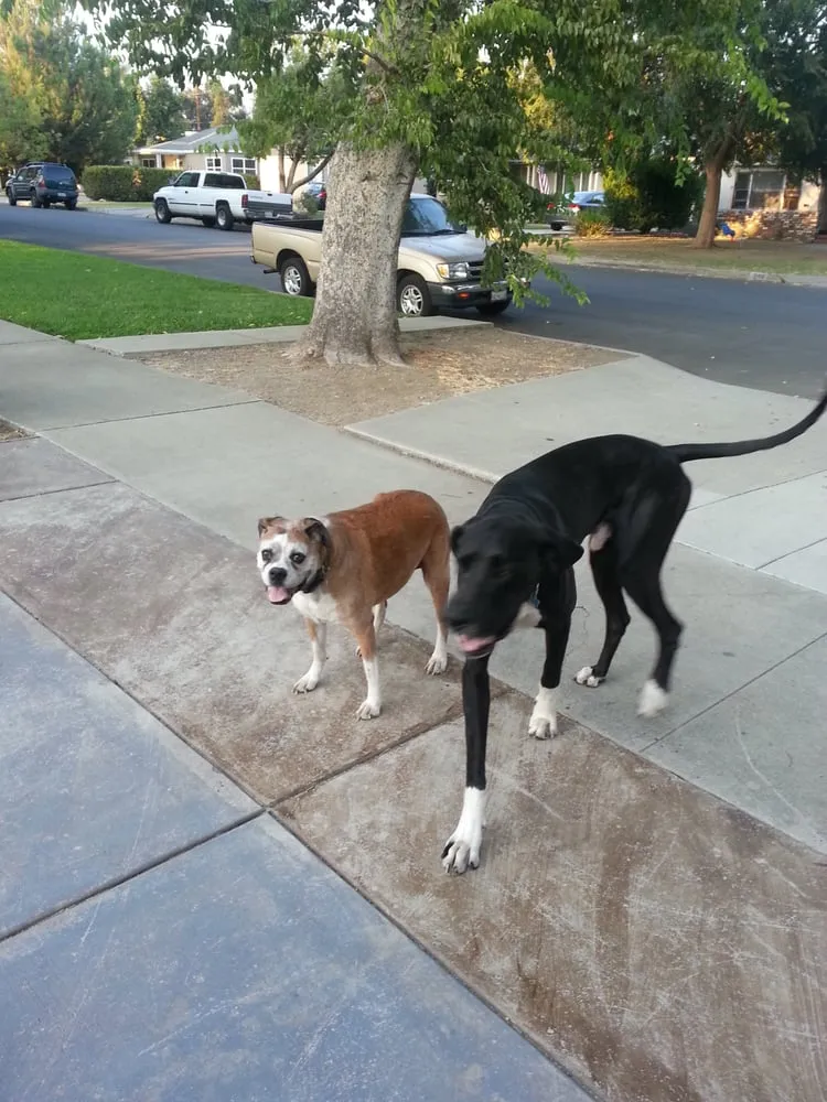 Slide of Collier Plumbing