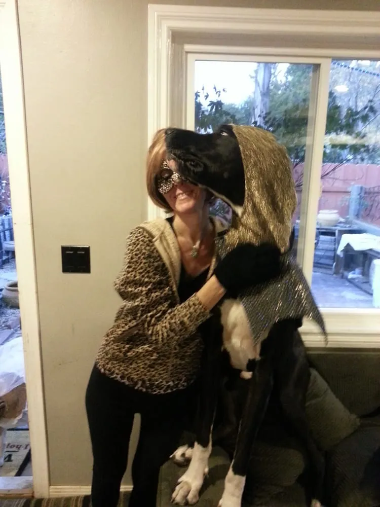 Slide of Collier Plumbing