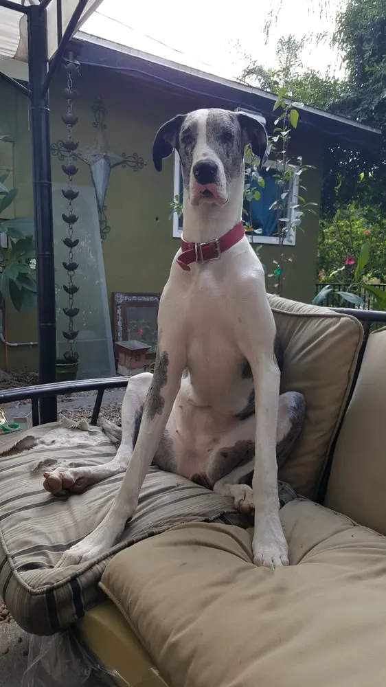 Slide of Collier Plumbing