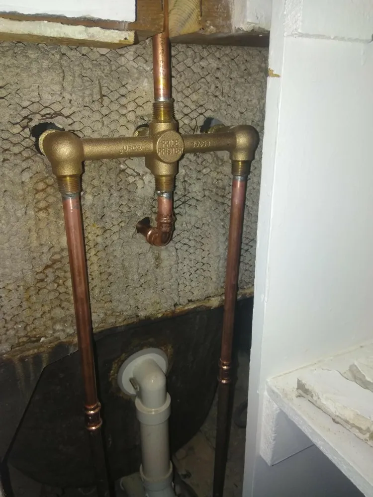 Slide of Collins & Sons