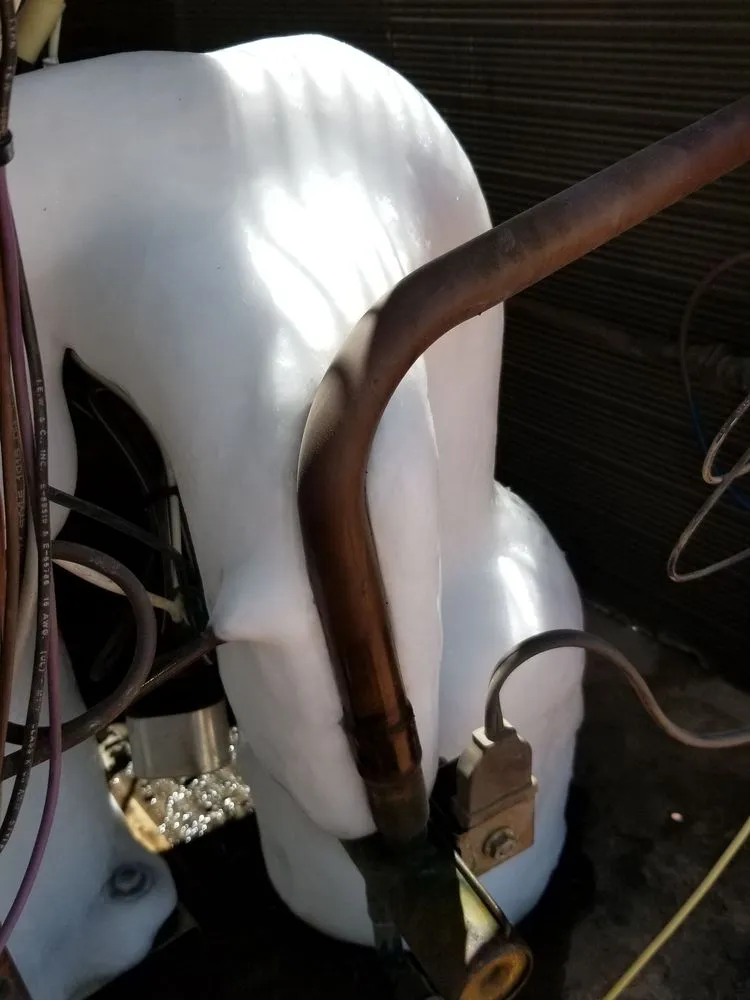 Expert drain cleaning experts serving Scottsdale, AZ - Collins Commercial Services