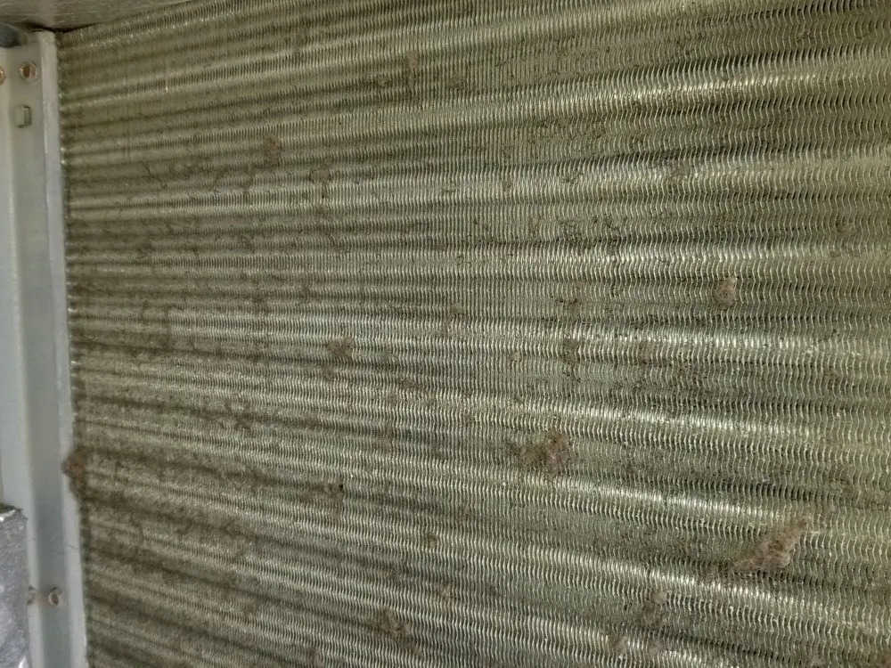 Expert drain cleaning in Scottsdale, AZ by Collins Commercial Services