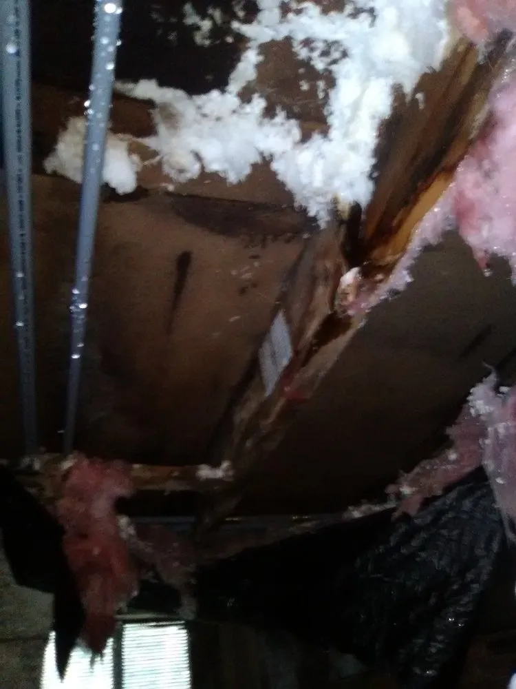 Slide of Collins Plumbing