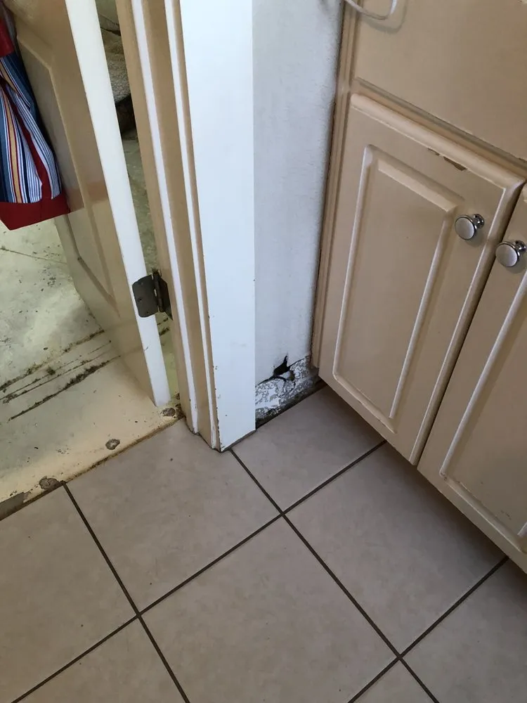 Quality emergency plumbing in Georgetown, TX by Colony Home Maintenance and Repair Services