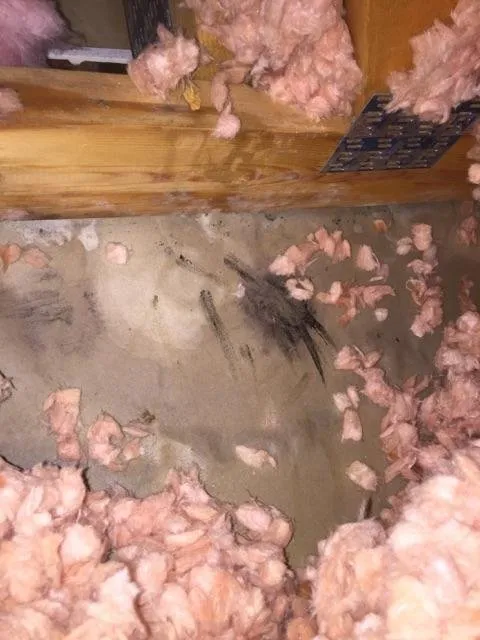 Expert emergency plumbing for homes in Westminster, CO by Colorado Custom Service