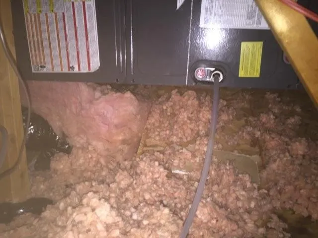 Reliable emergency plumbing experts serving Westminster, CO - Colorado Custom Service