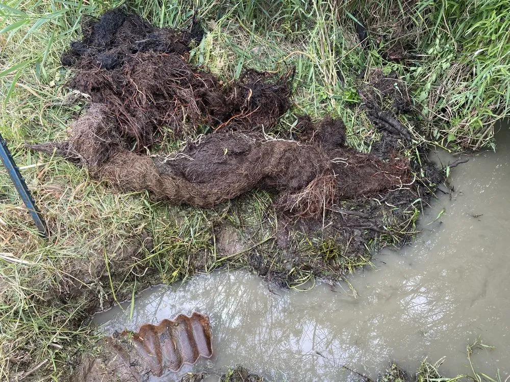 Slide of Columbia Sanitation