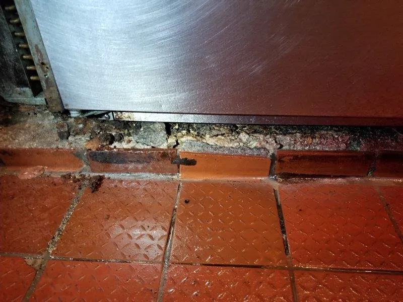 Professional leak detection for homes in Schaumburg, IL by Commercial Repair Master Services