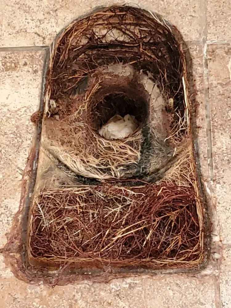 Slide of Community Plumbing