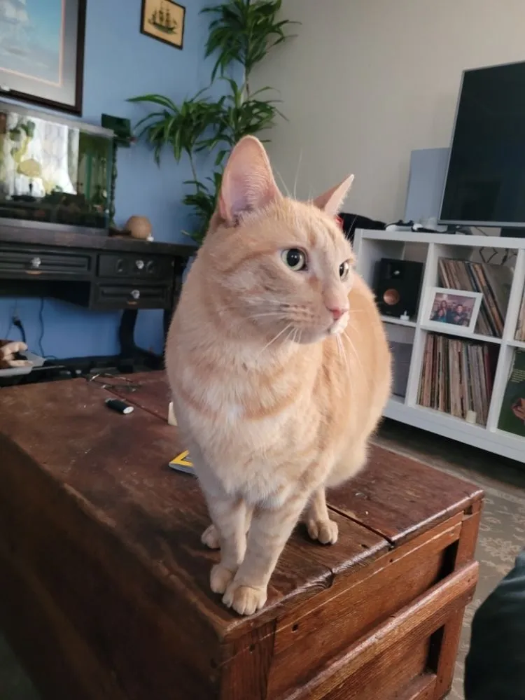 Slide of Community Plumbing