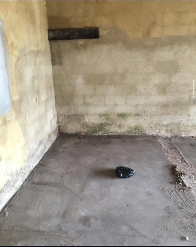 Slide of Community Wealth Group Economics