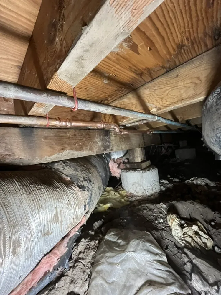 Slide of Complete Plumbing