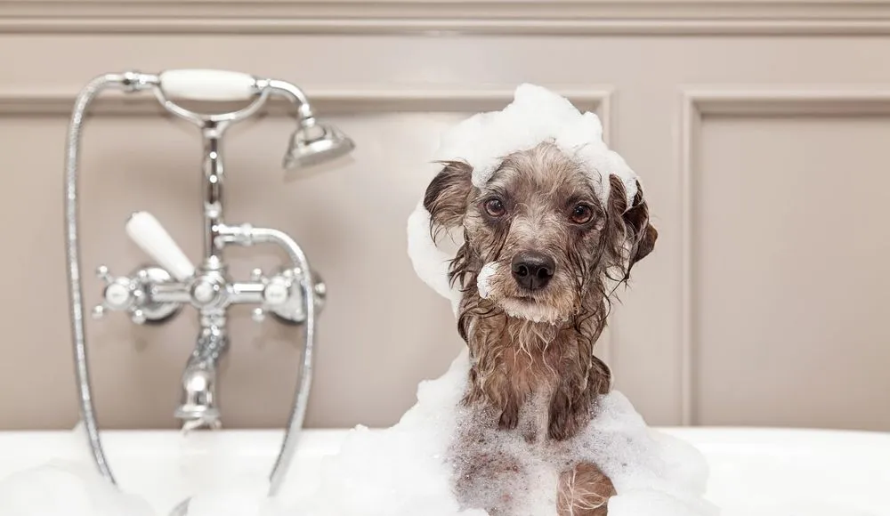 Trusted pipe repair for homes in Northglenn, CO by Complete Plumbing HVAC & Mechanical