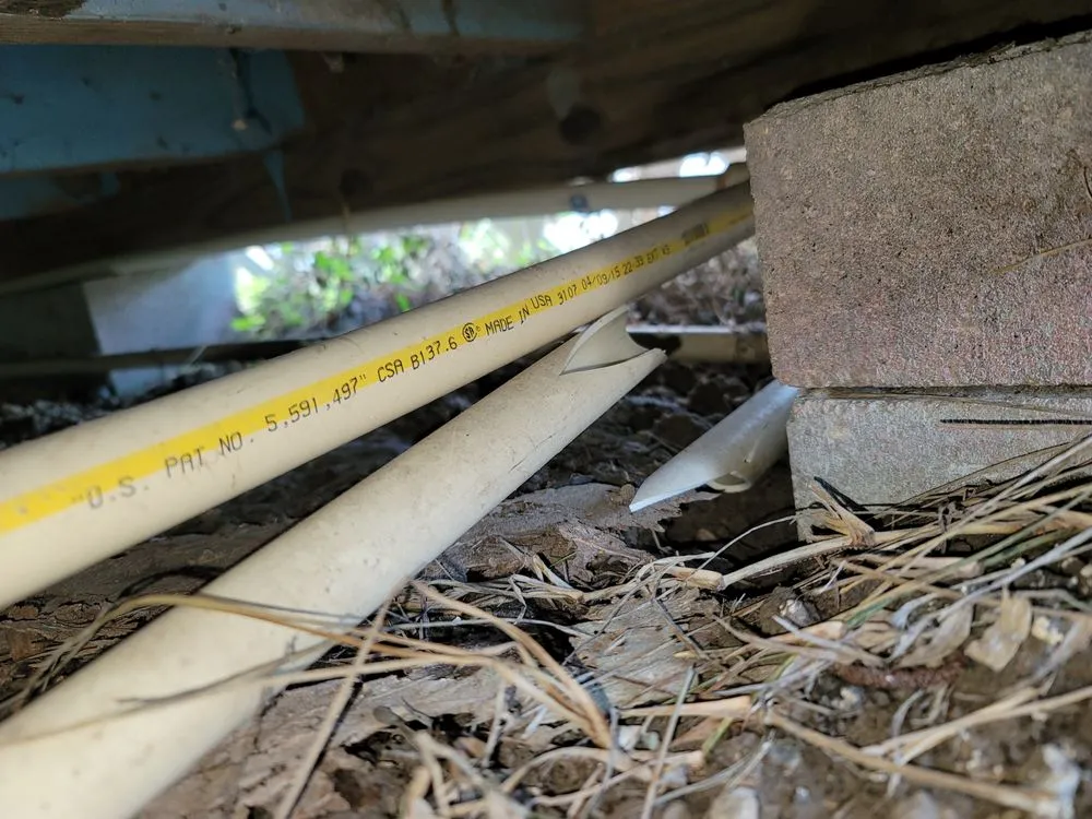Slide of Concrete Cow Boyz plumbing