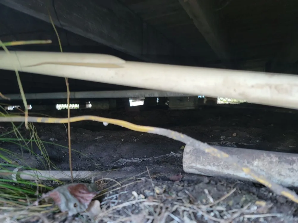 Slide of Concrete Cow Boyz plumbing