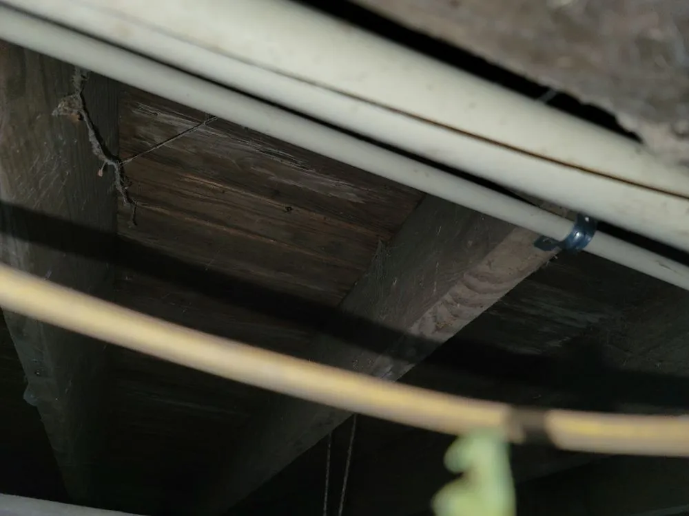 Slide of Concrete Cow Boyz plumbing