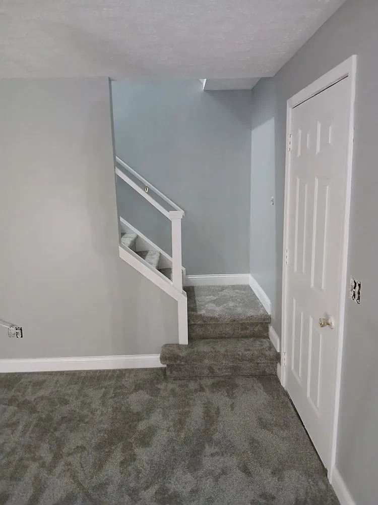 Slide of Cone Restoration