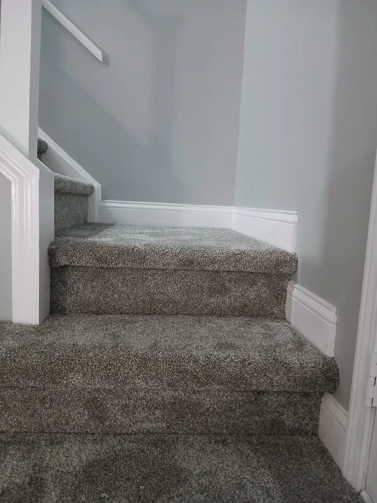 Slide of Cone Restoration