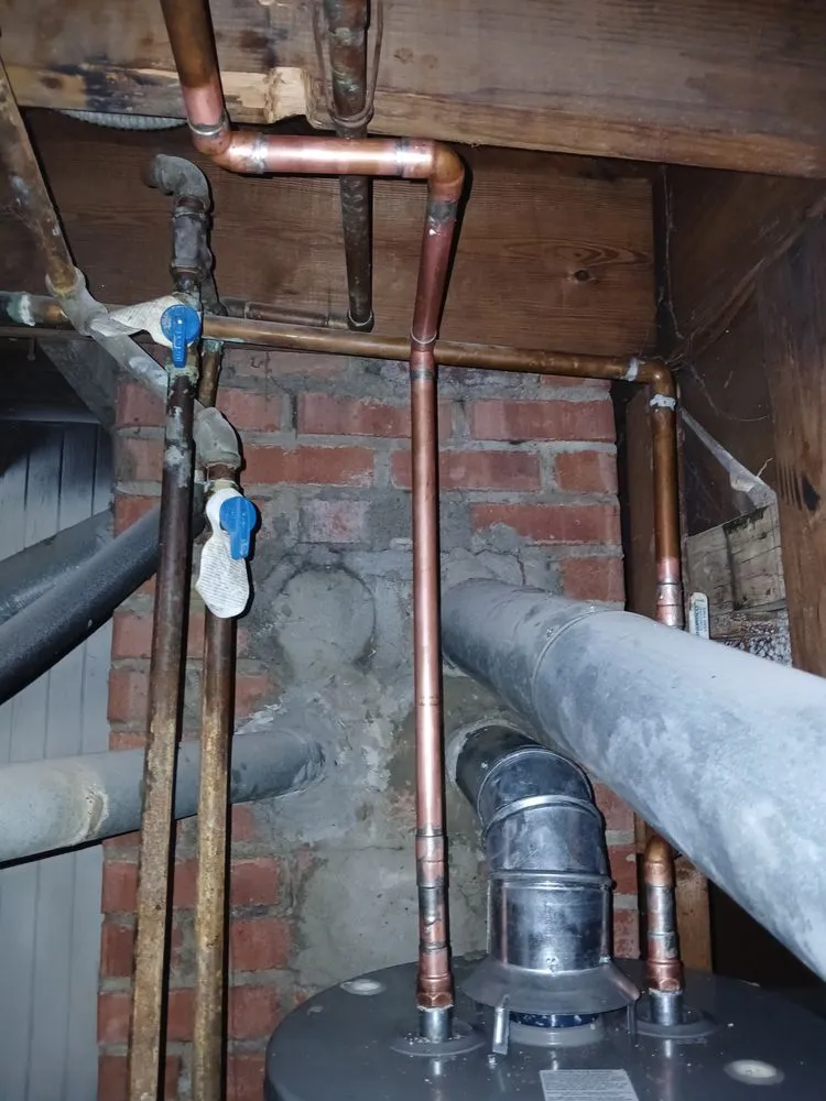 Slide of Cone Restoration