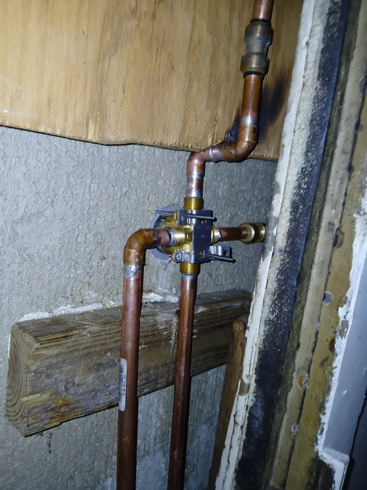 Slide of Cone Restoration