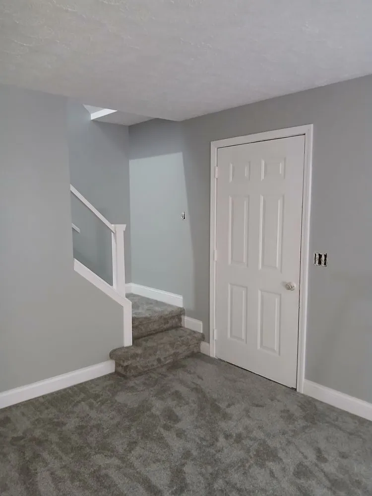 Slide of Cone Restoration