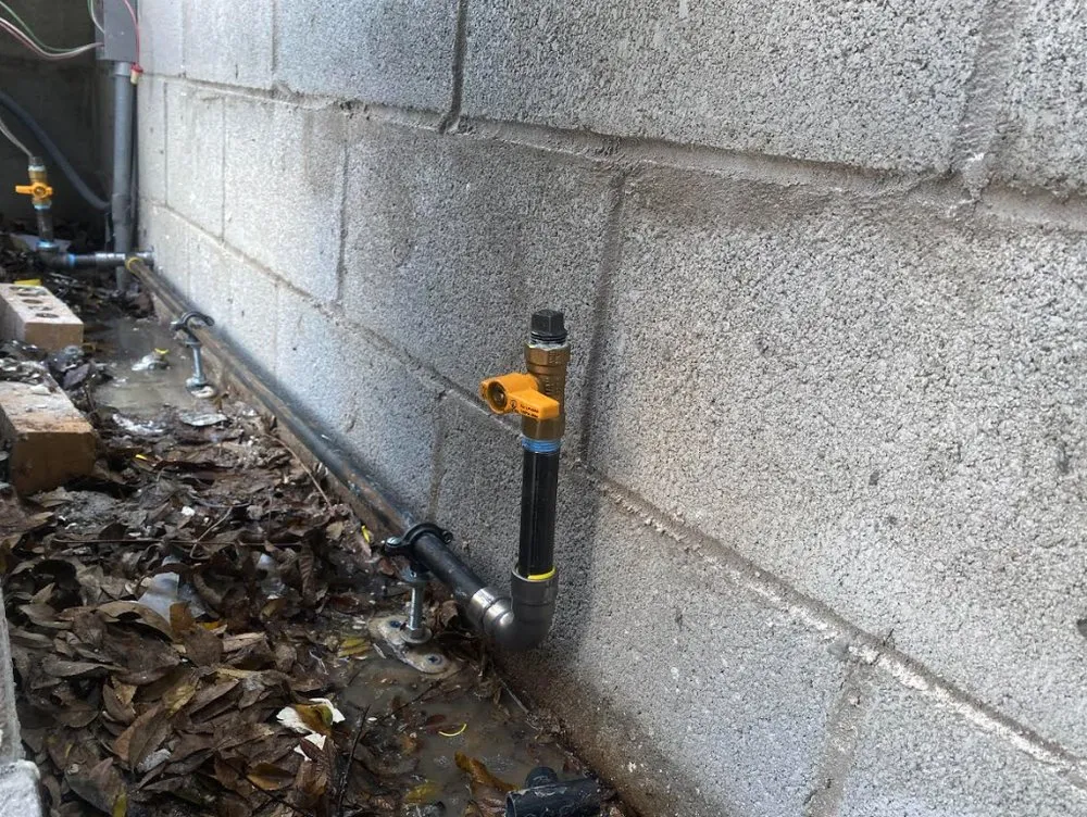 Slide of Confluent Solutions