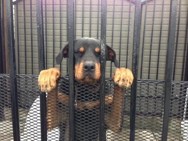 Slide of Connors Plumbing & Heating