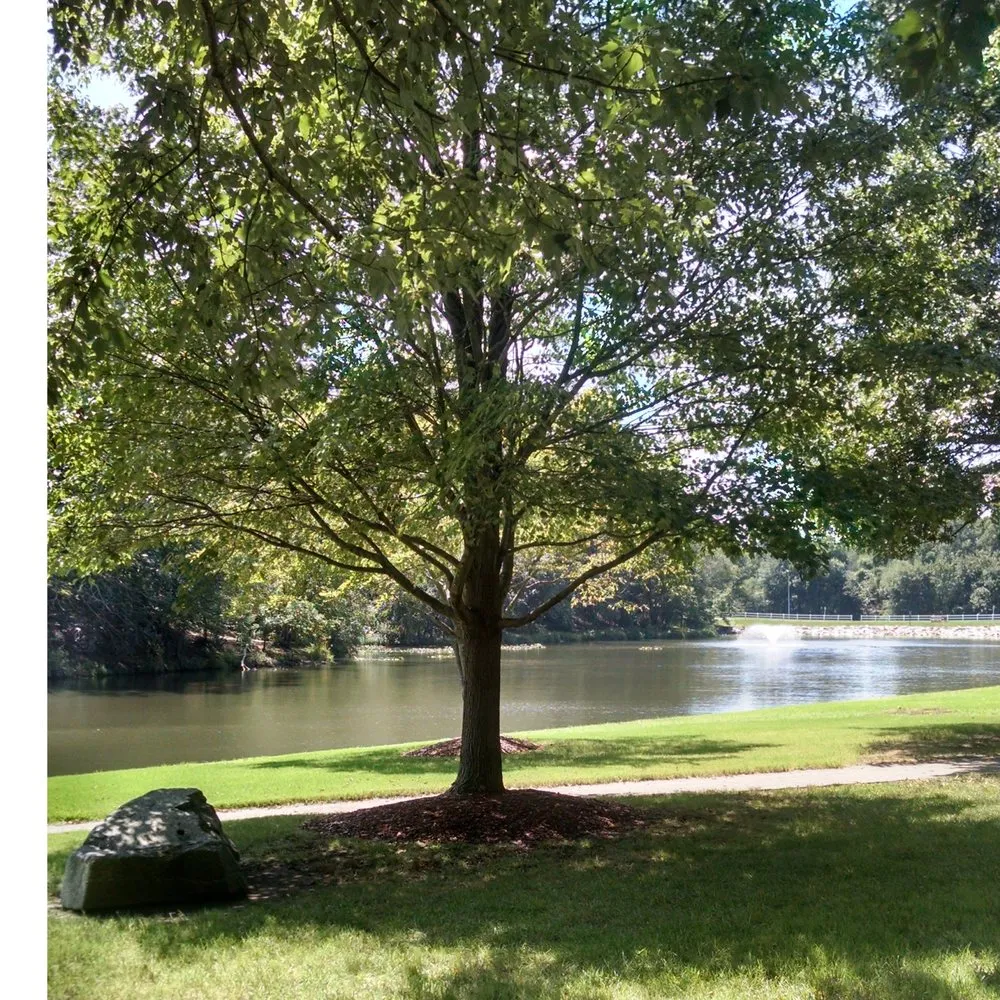 Slide of Constantly Running