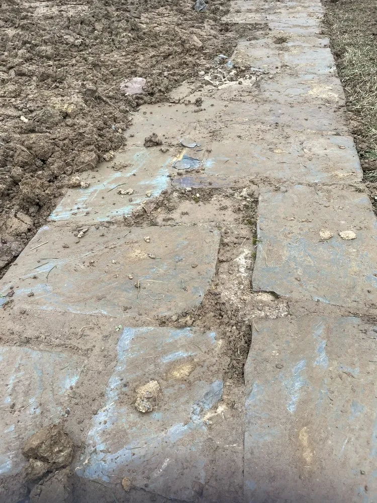 Slide of Constellation Home