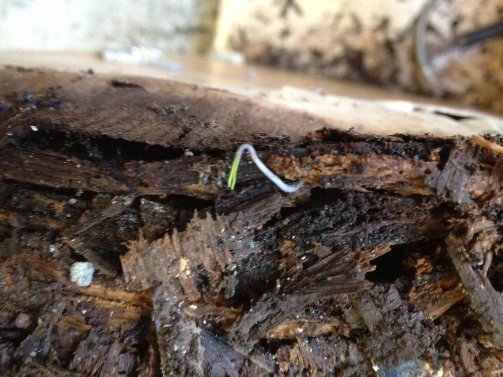 Slide of Construction Plumbing