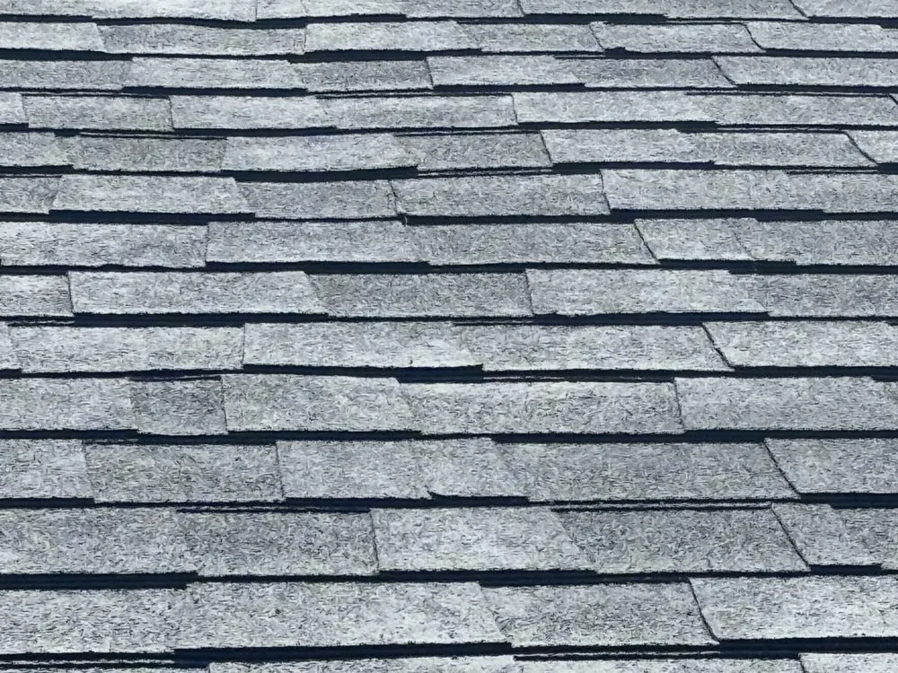 Affordable emergency plumbing service in Tampa, FL - Construction Trades Solutions