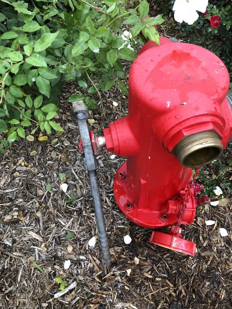 Slide of Control Fire USA