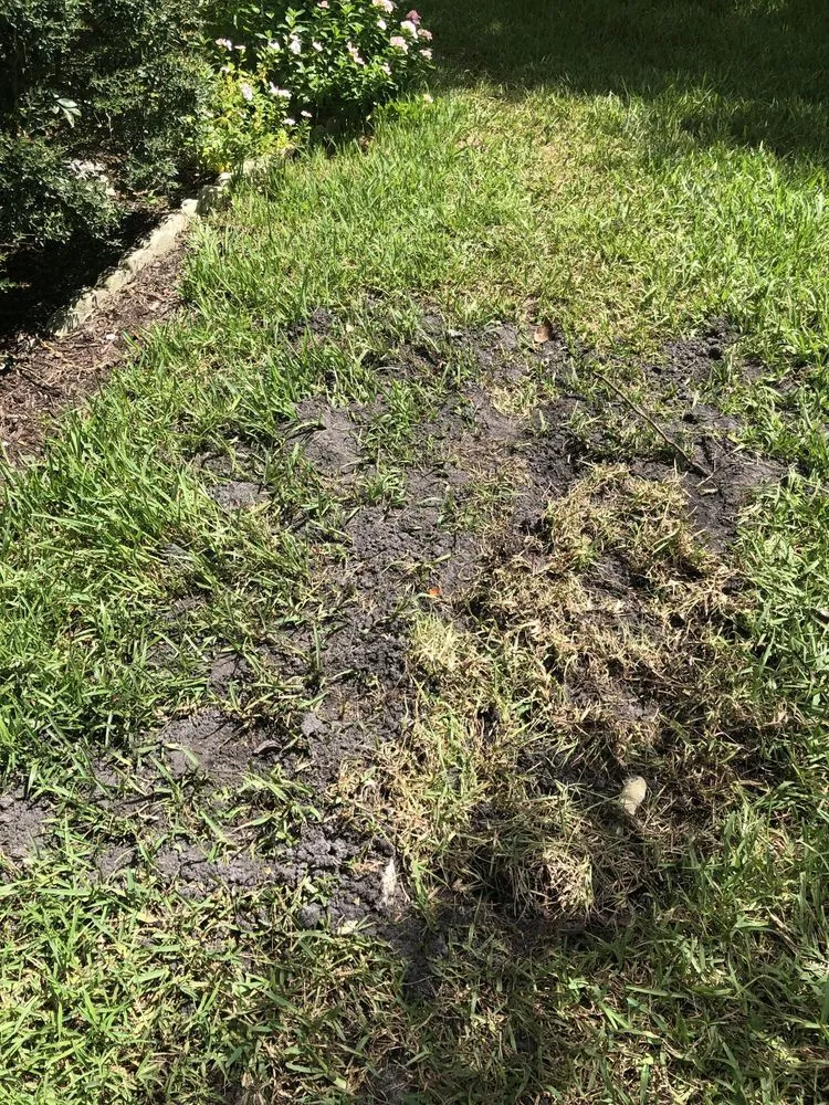 Slide of Cooke's Plumbing and Septic - WRE