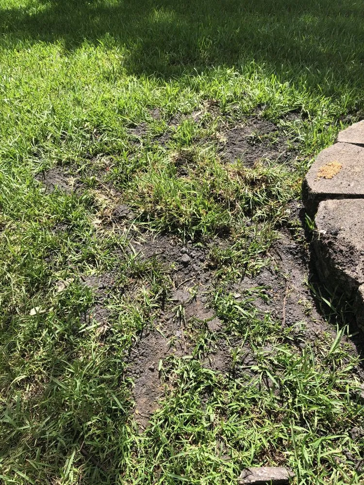 Slide of Cooke's Plumbing and Septic - WRE