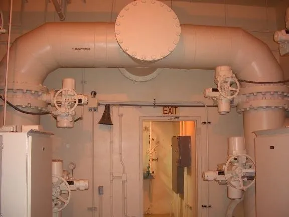 Slide of Cookey's Mechanical