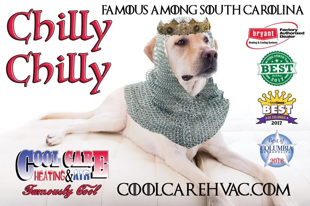 Emergency leak detection experts serving Columbia, SC - Cool Care Heating, Air, Plumbing & Refrigeration