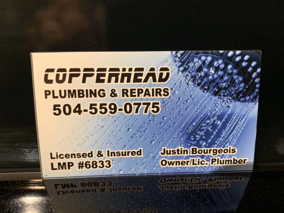 Expert leak detection experts serving LaPlace, LA - Copperhead Plumbing & Repair