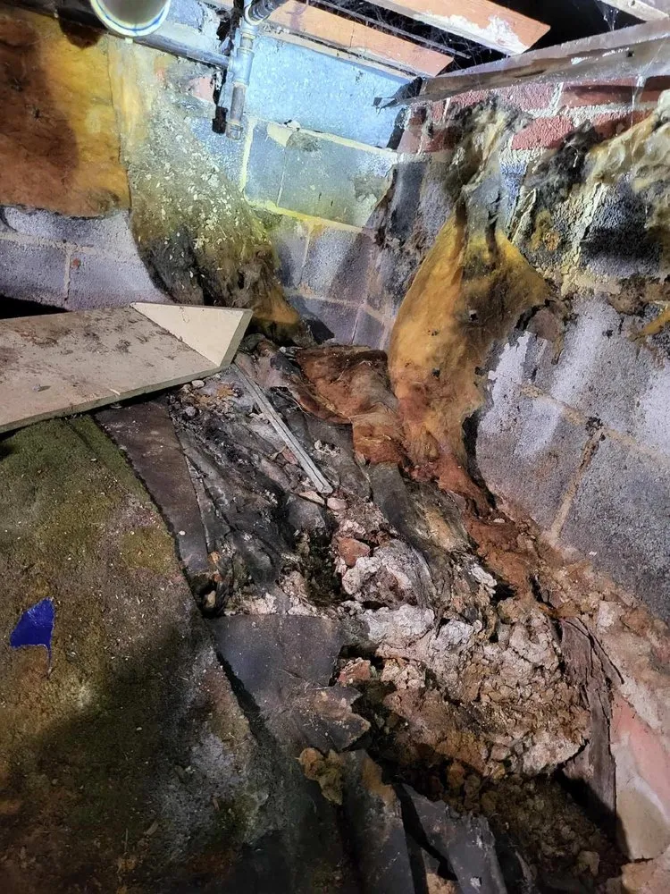 Slide of Corados Services